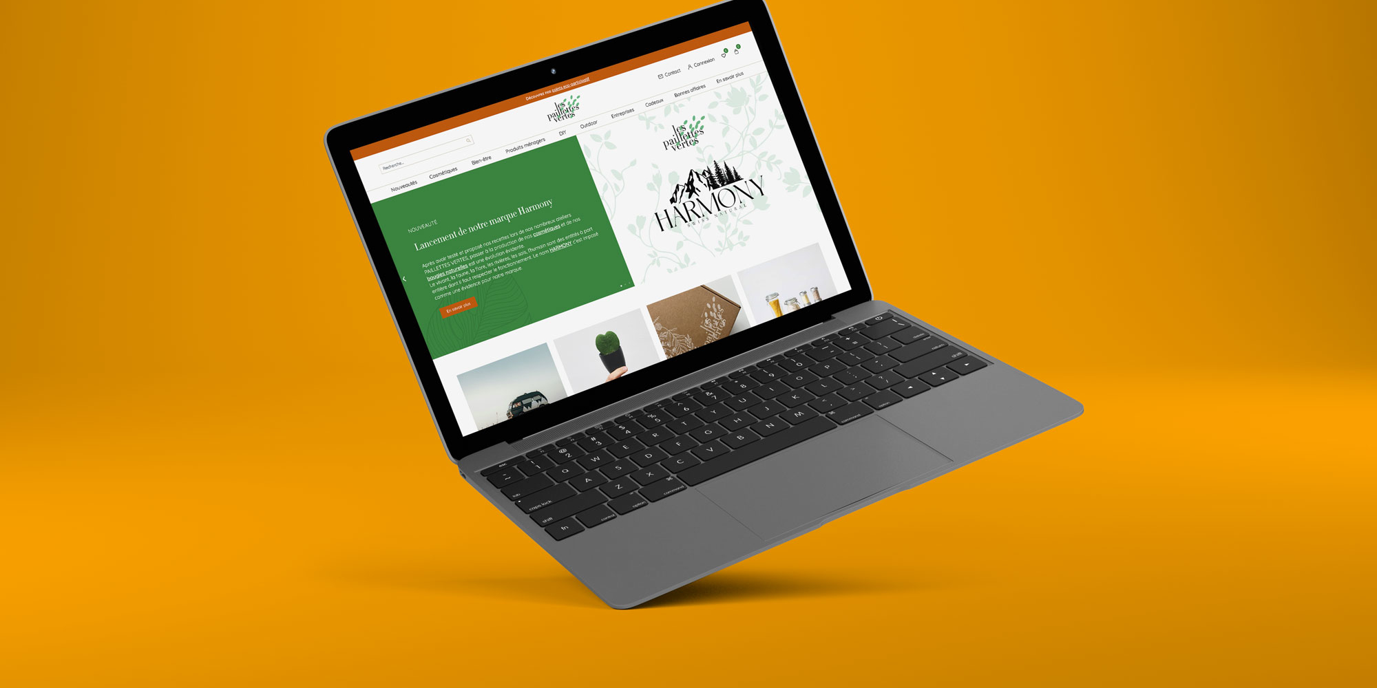 Mockup du site internet des Paillettes Vertes