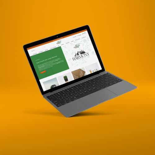 Mockup du site internet des Paillettes Vertes