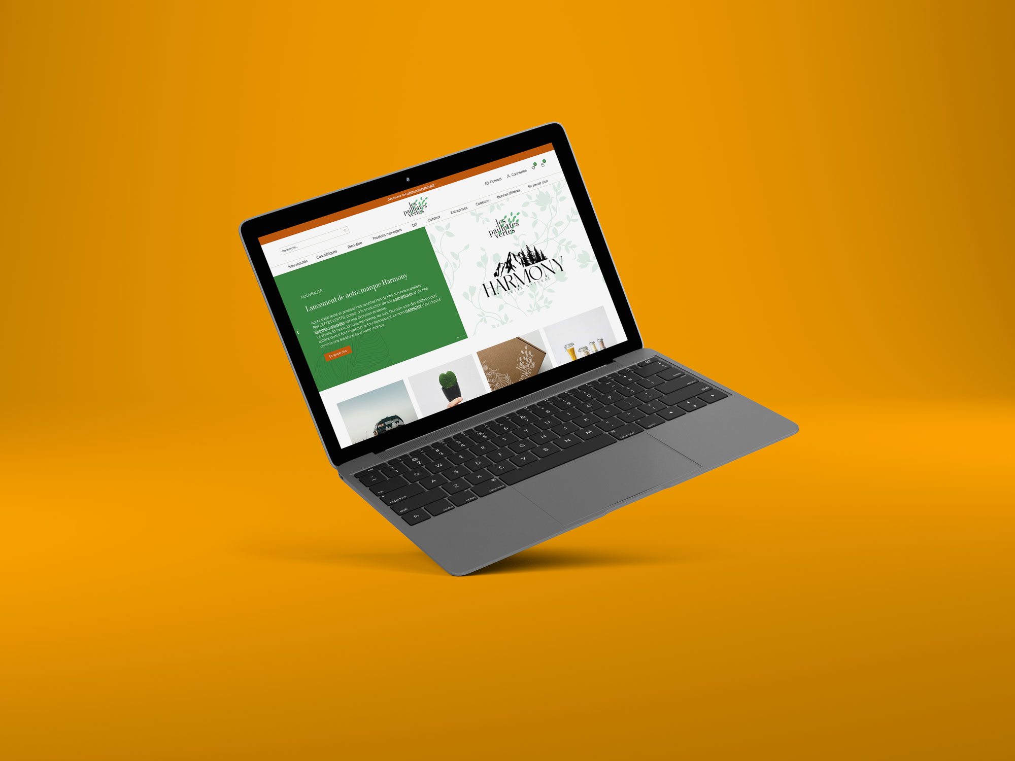 Mockup du site internet des Paillettes Vertes